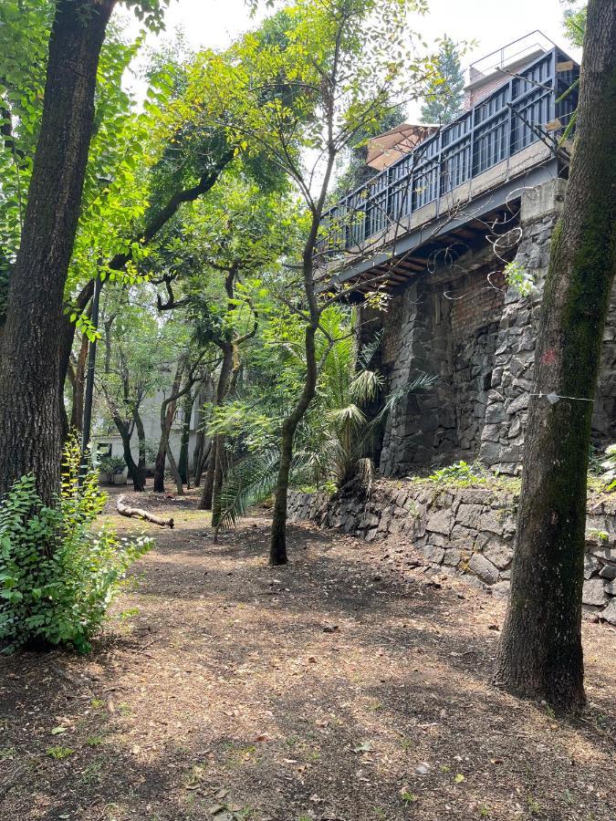 Mi Refugio San Angel Cidade do México Exterior foto